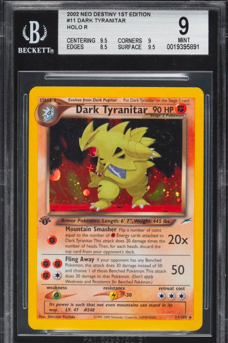 Dark Tyranitar Holo 1ª Edição